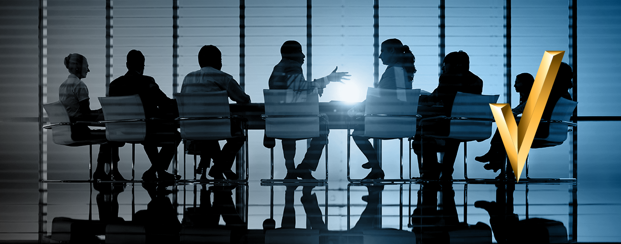 Privatization sevices